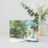 Carte Postale Orange Tree Gate Nassau Winslow Homer (Debout devant)