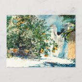 Carte Postale Orange Tree Gate Nassau Winslow Homer (Devant)