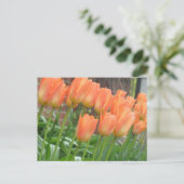 Carte postale Orange Tulips (Debout devant)