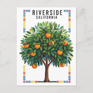 Carte Postale Oranger de Californie Riverside