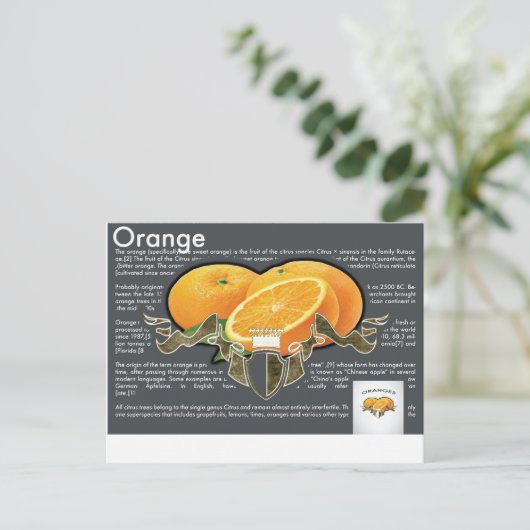 Carte postale Oranges (Debout devant)