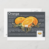 Carte postale Oranges (Devant / Derrière)