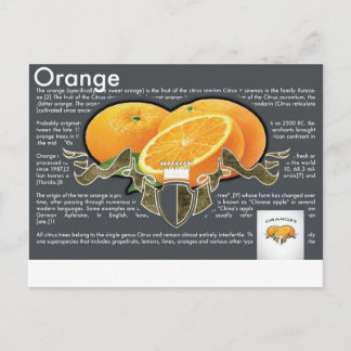 Carte postale Oranges