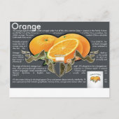 Carte postale Oranges (Devant)