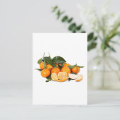 Carte Postale Oranges (Debout devant)