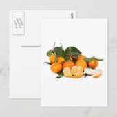 Carte Postale Oranges (Devant / Derrière)