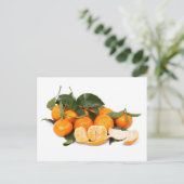 Carte Postale Oranges (Debout devant)