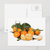 Carte Postale Oranges (Devant / Derrière)