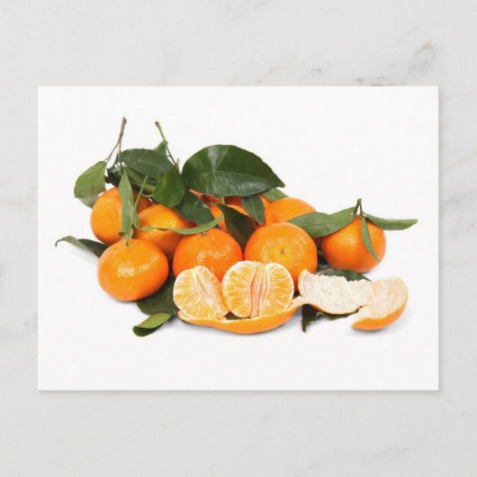 Carte Postale Oranges (Devant)