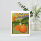 Carte postale Oranges (Debout devant)