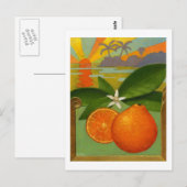 Carte postale Oranges (Devant / Derrière)
