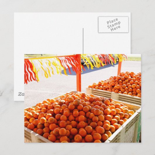 Carte Postale Oranges de Floride (Devant / Derrière)