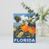 Carte Postale Oranges de Floride Voyage Rétro (Debout devant)