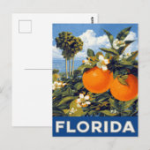 Carte Postale Oranges de Floride Voyage Rétro (Devant / Derrière)