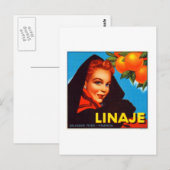 Carte Postale Oranges de Linaje Valencia (Devant / Derrière)