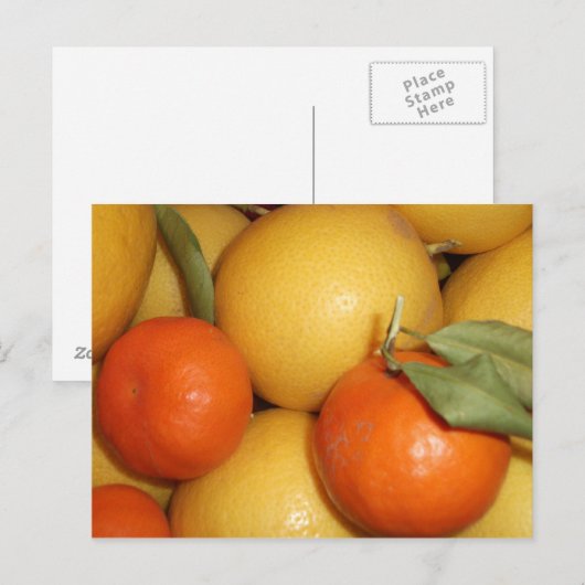 Carte Postale Oranges et citrons (Devant / Derrière)