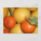 Carte Postale Oranges et citrons (Devant)