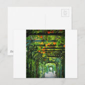 Carte Postale Oranges et citrons jaunes sur treillis vert (Devant / Derrière)