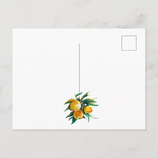 Carte postale oranges et fleurs (Dos)