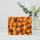 Carte Postale Oranges Fraîches du Marché de Producteurs  (Debout devant)