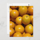 Carte Postale Oranges fruits Floride marché orange (Devant / Derrière)