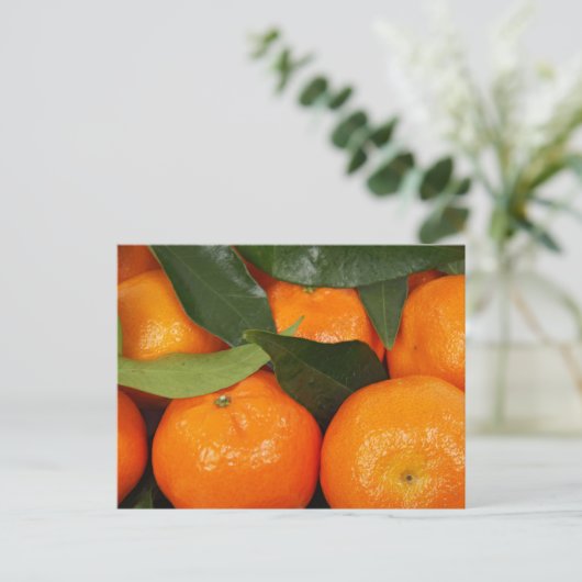 Carte Postale Oranges mandarines (Debout devant)