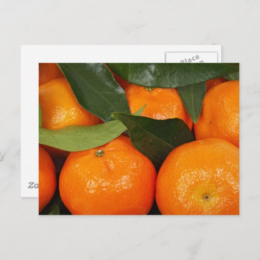 Carte Postale Oranges mandarines (Devant / Derrière)