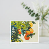 Carte Postale Oranges sur une branche par Winslow Homer (Debout devant)