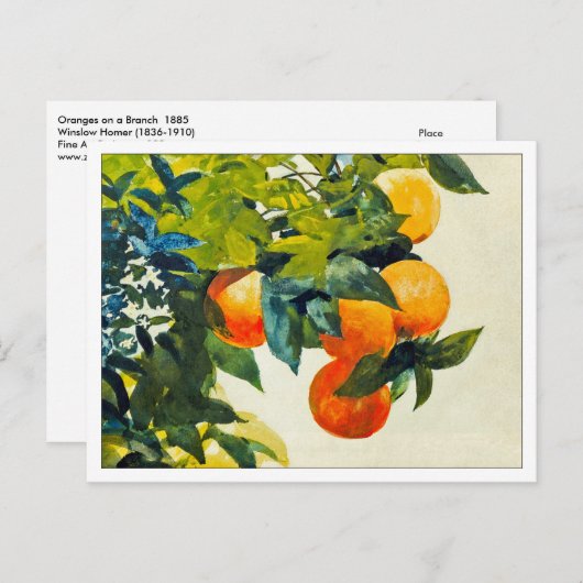 Carte Postale Oranges sur une branche par Winslow Homer (Devant / Derrière)