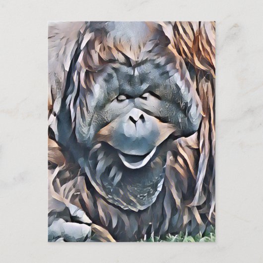 CARTE POSTALE ORANGUTAN (Devant)