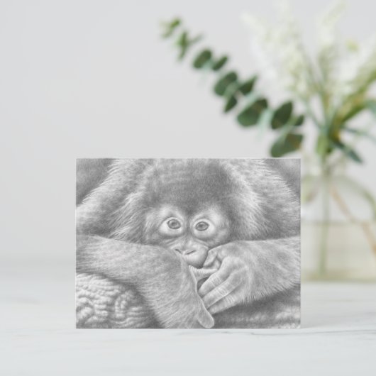 Carte postale Orangutan bébé (Debout devant)