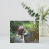 Carte Postale Orangutan dans la forêt de Bornéo (Debout devant)