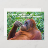 Carte postale Orangutan Drôle (Devant / Derrière)