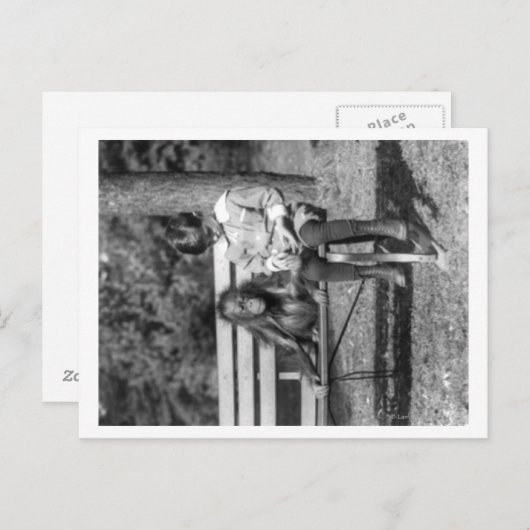 Carte Postale Orangutan et garçon dans le zoo national (Devant / Derrière)