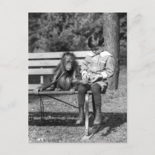 Carte Postale Orangutan et garçon - Zoo national (Devant)