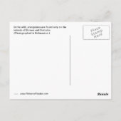 Carte Postale Orangutan Face (Dos)