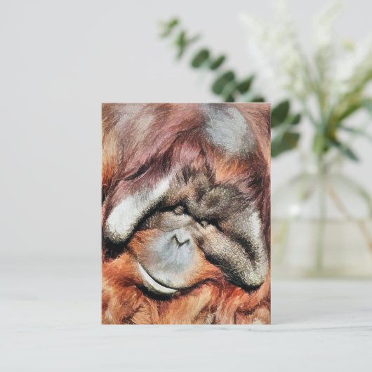 CARTE POSTALE ORANGUTANS (Debout devant)