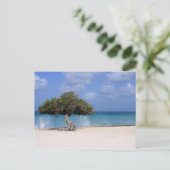 Carte Postale oranjestad (Debout devant)