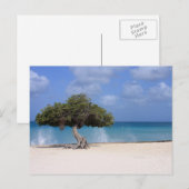 Carte Postale oranjestad (Devant / Derrière)