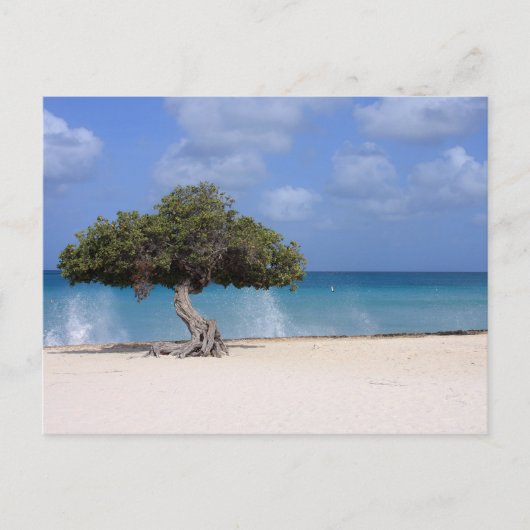 Carte Postale oranjestad (Devant)