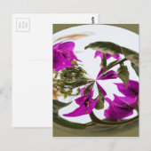 Carte Postale Orbe de fleurs violettes et blanches (Devant / Derrière)