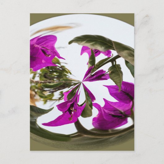 Carte Postale Orbe de fleurs violettes et blanches (Devant)