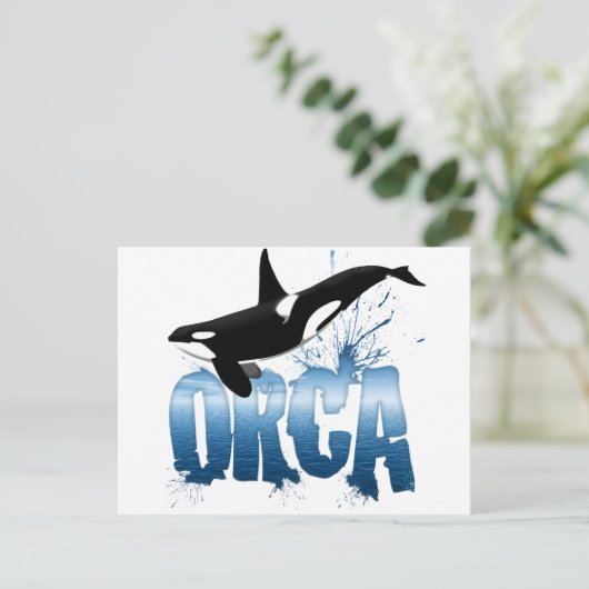 Carte Postale Orca (Debout devant)