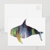 Carte Postale Orca (Devant / Derrière)