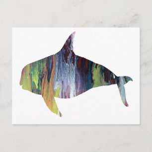 Carte Postale Orca