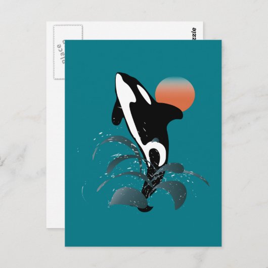 Carte Postale Orca (Devant / Derrière)