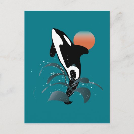 Carte Postale Orca (Devant)