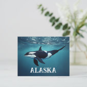 Carte Postale Orca Alaska (Debout devant)