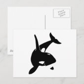Carte Postale orca dolphin delphin schwer (Devant / Derrière)
