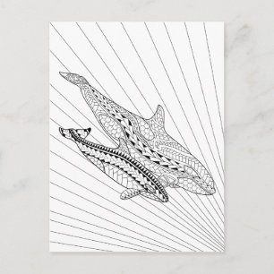 Carte Postale Orca Et Bébé Adulte Coloriage